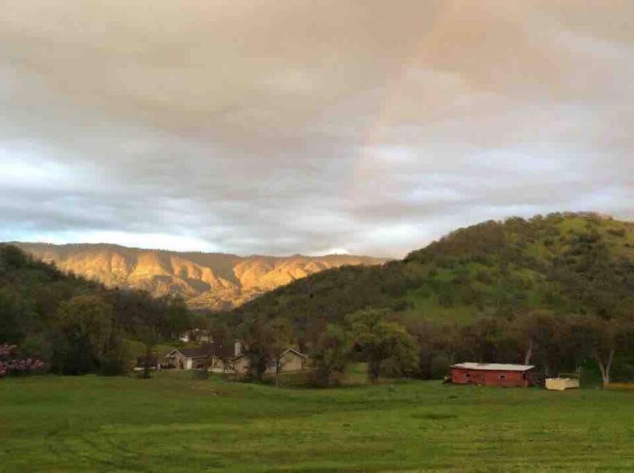 Waxberry Getaway Sequoia/Kings Canyon National Pks Yokuts Valley  Exterior foto