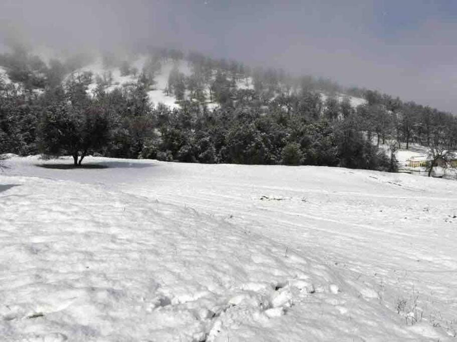 Waxberry Getaway Sequoia/Kings Canyon National Pks Yokuts Valley  Exterior foto