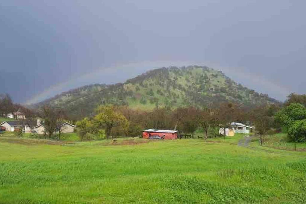 Waxberry Getaway Sequoia/Kings Canyon National Pks Yokuts Valley  Exterior foto